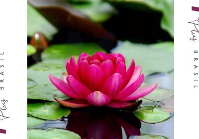 Massagem-em-Natal-Espaco-Aconchego-1